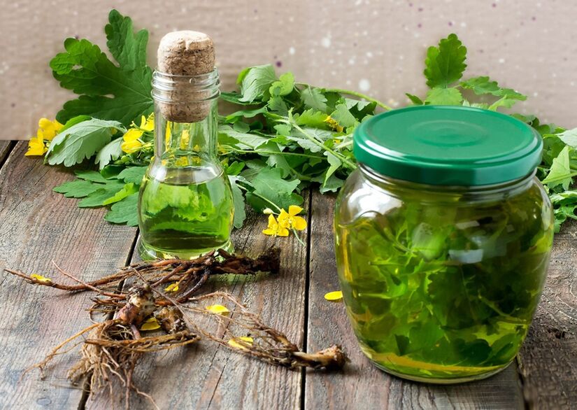 celandine тинктура за простатитис